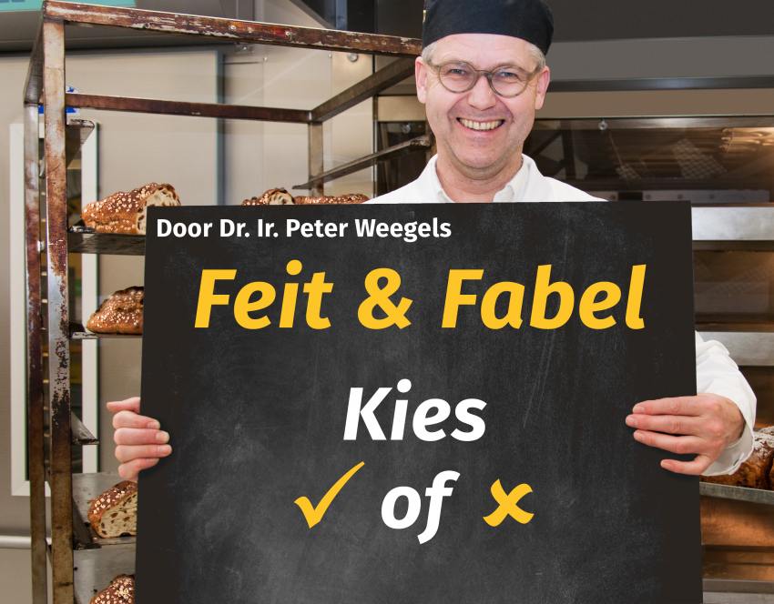 Feit en Fabel - Peter Weegels - verborgen - alleen voor responsive weergave